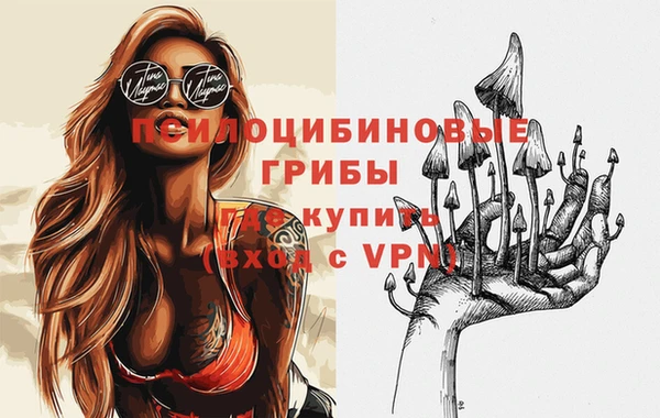 крисы Белоозёрский
